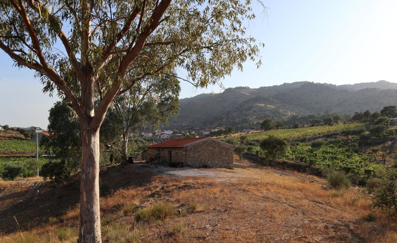 Quinta De Gandarem Villa Torre De Moncorvo Exterior foto